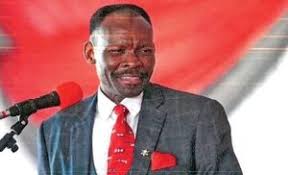 Michael Sandlana Biography